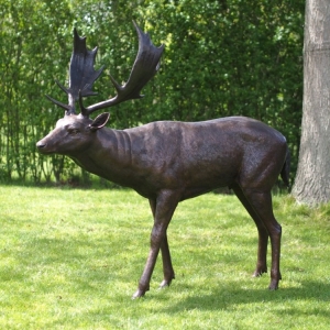 Bronzeskulptur "Scheuer Damhirsch"