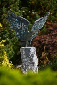 Weißkopf-Seeadler auf Granit-Findling