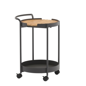 Zebra Trolley