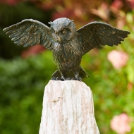 Bronze Uhu im Anflug