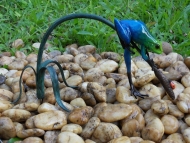 Bronzeskulptur "Blauer Frosch mit Marienkäfer"