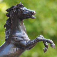 Bronzeskulptur Hengst mit prächtiger Mähne Oberkörper 