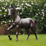 bronze pferd groß