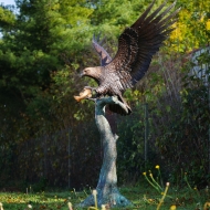 bronze adler fisch