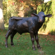 bronze kalb groß
