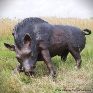 Bronzefigur eines Wildschweins