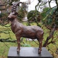 Bronze Steinbock Figur Skulptur