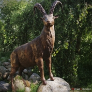 Steinsockel Bronzeskulptur Steinbock 
