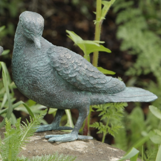 Bronze-Taube,Bronze-Taube von Rottenecker 