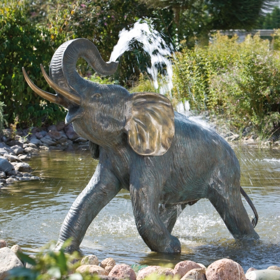 Junger Elefant 88171 von Rottenecker